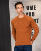 Herren-Pullover mit Karomuster V2