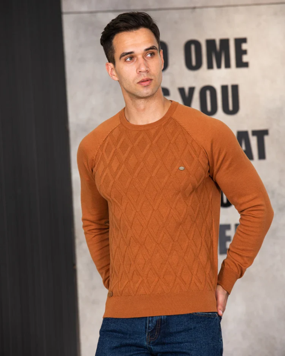 Herren-Pullover mit Karomuster V2