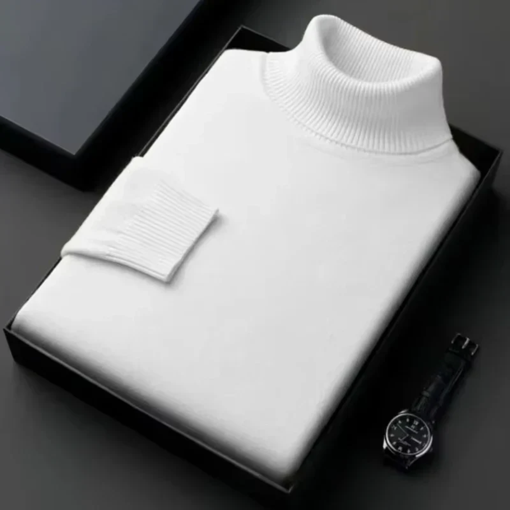 Alioth Kaschmir-Rollkragenpullover