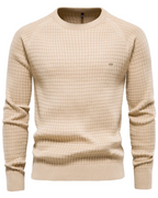 Herren-Pullover mit Gittermuster