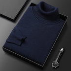 Alioth Kaschmir-Rollkragenpullover