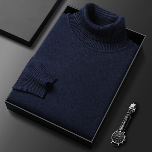 Alioth Kaschmir-Rollkragenpullover